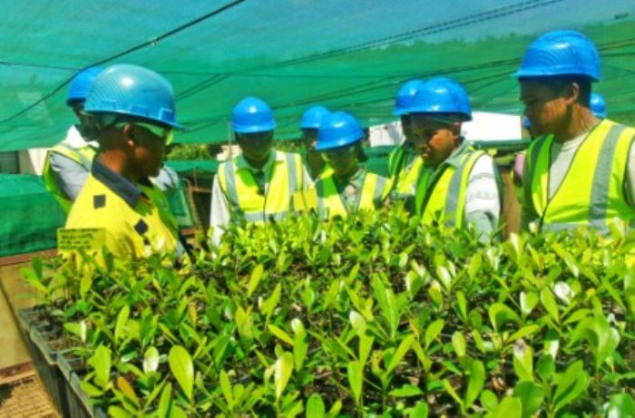 TBE : une banque de données conjoncturelles  NewsMada | NewsMada