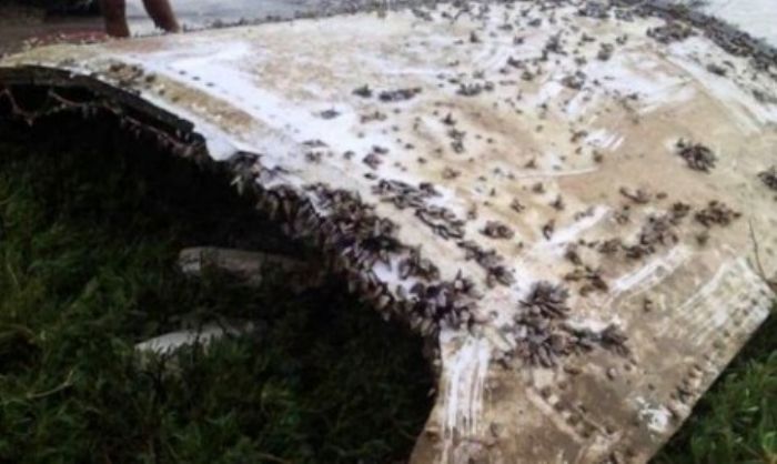 Vol MH370 : des débris retrouvés à Madagascar redonnent espoir - Afrik.com : l'actualité de l'Afrique noire et du Maghreb