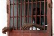 KEDOUGOU – Jugé pour incendie volontaire de lieu habité ou servant à l’habitation : Seydou Diallo a été acquitté par la Chambre criminelle | Lequotidien Journal d'informations Générales