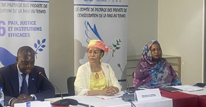 Tchad : ouverture des travaux de la réunion du Copil des Projets de Consolidation de la Paix - Journal Le Pays | Tchad