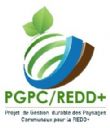 Communiqué : APPEL A PROJETS POUR LE FINANCEMENT DES SOUS-PROJETS DES MOYENNES ENTREPRISES PAR LE PROJET DE GESTION DURABLE DES PAYSAGES COMMUNAUX POUR LA REDD+ (PGPC/REDD+) AU BURKINA FASO