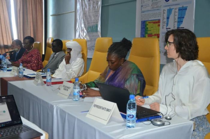 Tchad : la situation sanitaire des réfugiés au centre des échanges à N’Djaména - Journal du Tchad