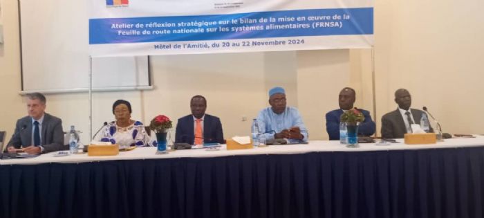 Vers des systèmes alimentaires durables au Tchad : un atelier pour faire le bilan et planifier l’avenir | Tchadinfos.com