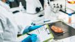 How a single body could make South Africa’s food safer – The Mail & Guardian