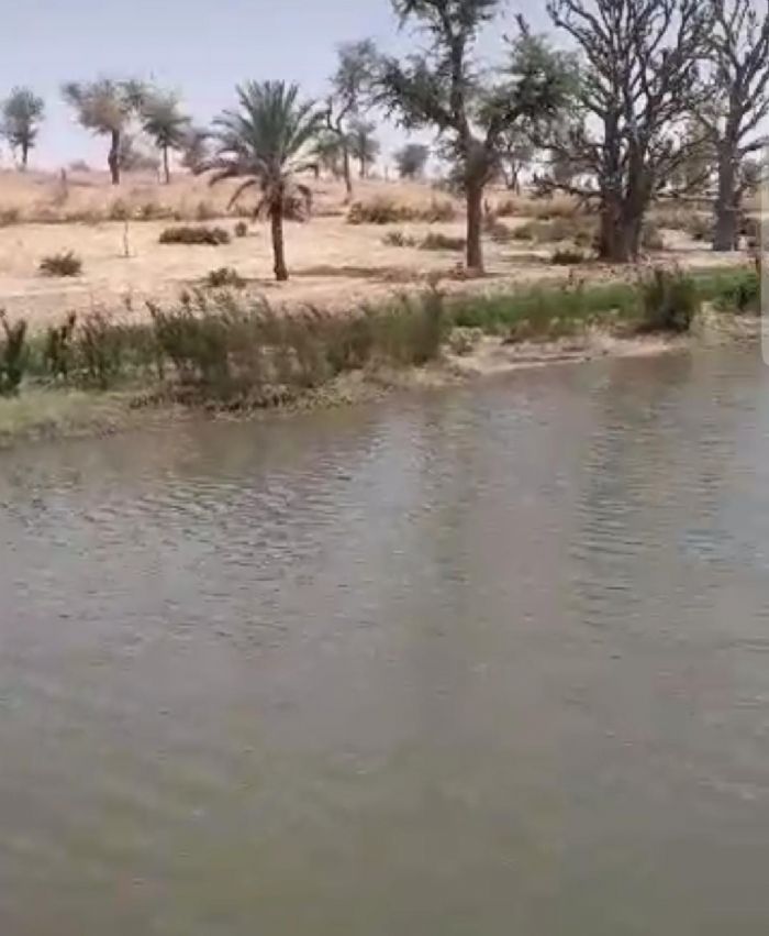 AGRICULTURE: Changement climatique et opportunités liées aux transformations environnementales dans la vallée « Korama » de Gogo-Machaya – Le Canard Déchaîné Niger