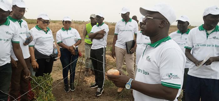 Cameroun : Le CPF de Mbouo Bandjoun forme les autorités agricoles sur l’agriculture biologique et l'agroécologie à Garoua - La Voix Du Paysan