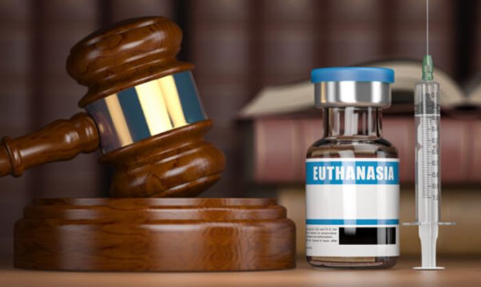 Pour ou contre la démocratisation de la mort ?