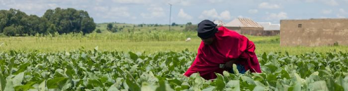 Nigéria : dans l’État de Zamfara, insécurité rime avec malnutrition - SOLIDARITÉS INTERNATIONAL