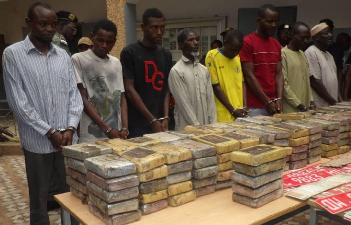 Lutte contre le trafic de drogue : saisie record de 268 kg de cocaïne, 8 individus interpelés