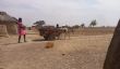 Togo: Alerte sur une insécurité alimentaire aigüe au nord du pays