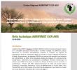 Saison des pluies 2026 : AGRHYMET écarte le scénario d’une sécheresse généralisée au Sahel