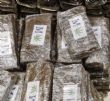 37 kg de résine de cannabis saisis à l’aéroport Marcel Henry