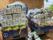 Lutte contre le trafic illicite : La Police Nationale saisit une importante quantité de pesticides et d’engrais d’une valeur de 11.000.000 FCFA à Pô