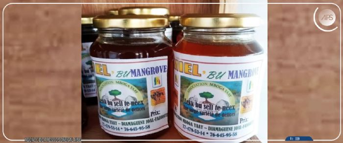 Miel de mangrove, un trésor du delta du Saloum face aux défis du marché international