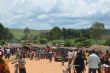 Entre espoir et péril : la fuite des jeunes Burundais vers la Tanzanie