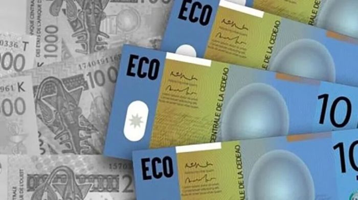 Monnaie unique de la CEDEAO : l’horizon 2027 est fixé pour l’Eco, quels enjeux pour la Guinée ?
