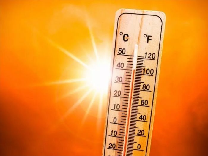 Vague de chaleur qui dépasse 48 degrés sur plusieurs wilayas du Nord vendredi et samedi