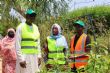 Semaine nationale de l’arbre : 5 000 plants à mettre en terre dans le 1er arrondissement de N’Djaména