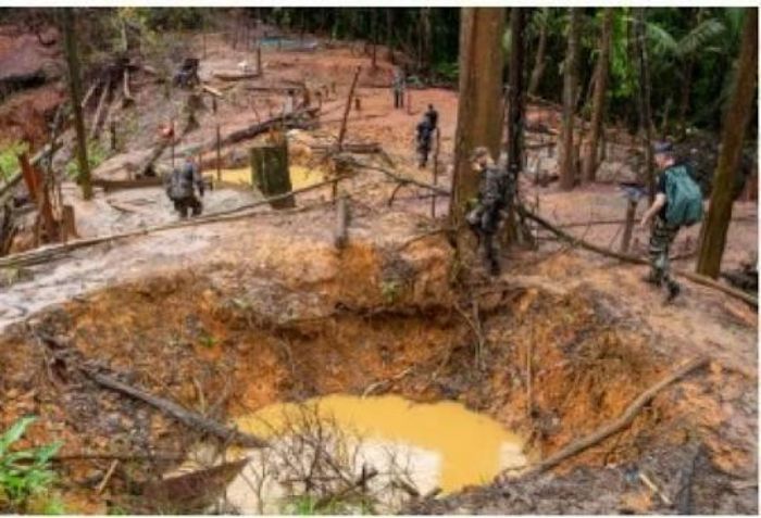 Orpaillage illégal en Côte d'Ivoire : financiers c hinois et complicités locales