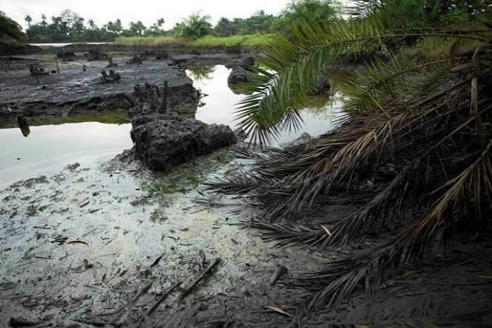 Niger : le géant chinois CNPC sous pression à Agadem