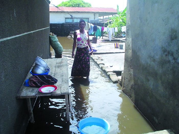 Réchauffement planétaire : L’Afrique, grande oubliée des fonds