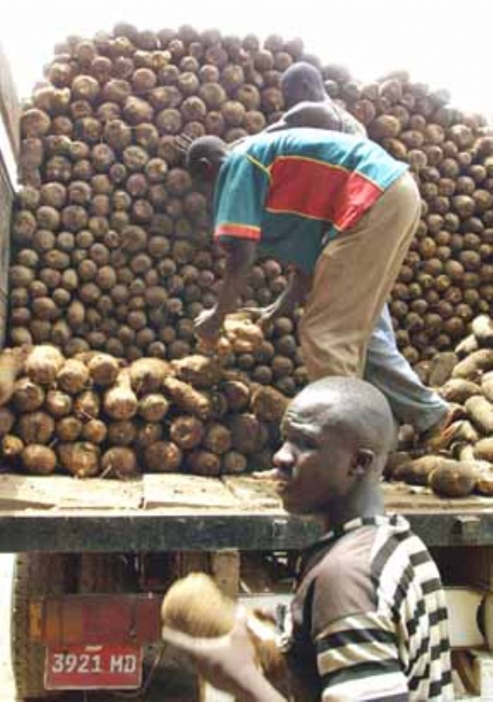 Fêtes de fin d’année : LES OPÉRATEURS ÉCONOMIQUES DE SAN PEDRO AFFIRMENT AVOIR FAIT UNE MAUVAISE AFFAIRE