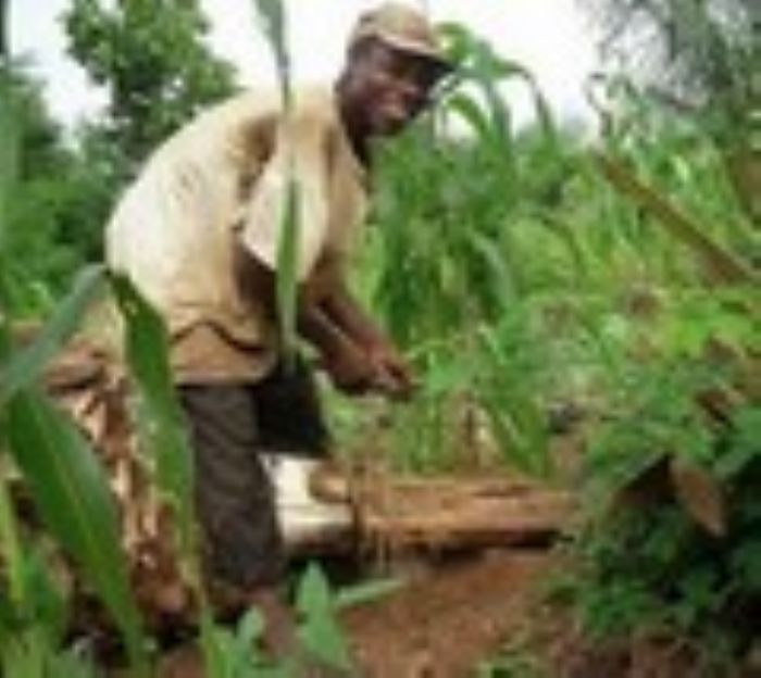 Croissance et réserves en baisse 