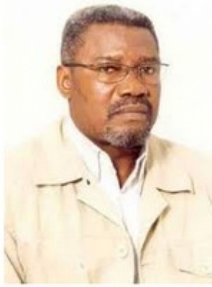 « L’imposture ethnocentriste », un ouvrage de Charles Zacharie Bowao