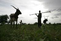 Prévisualisation de l'image