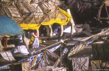 E-cartes : François-Xavier P. - 1