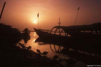 E-cartes : François-Xavier P. - 2