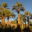 www.grandouarzazate.com