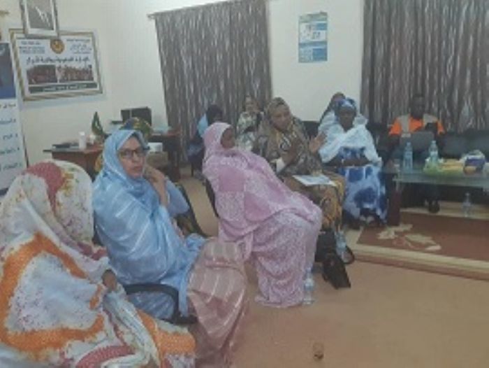 Violences basées sur le genre, une mission conjointe MASEF-UNFPA constate les difficultés rencontrées par 7 plateformes régionales  - L'Authentique