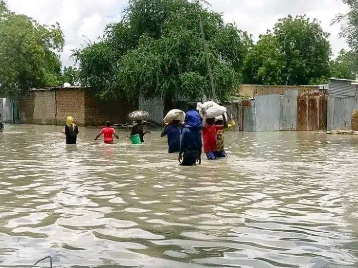 Tchad, « inondations apocalyptiques » : le démographe, Bédaou Caman, alerte - Journal Le Pays | Tchad