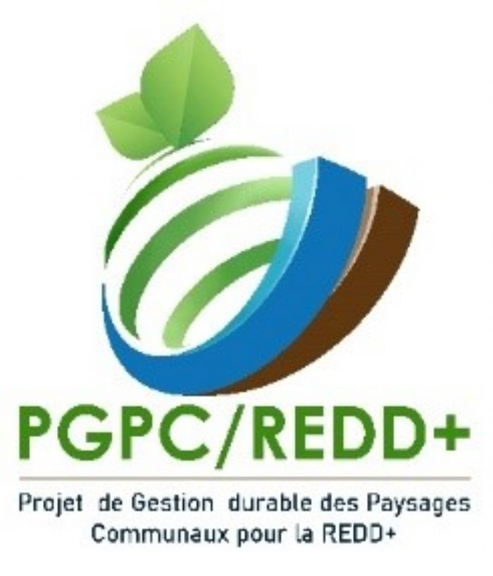 Communiqué : APPEL A PROJETS POUR LE FINANCEMENT DES SOUS-PROJETS DES MOYENNES ENTREPRISES PAR LE PROJET DE GESTION DURABLE DES PAYSAGES COMMUNAUX POUR LA REDD+ (PGPC/REDD+) AU BURKINA FASO