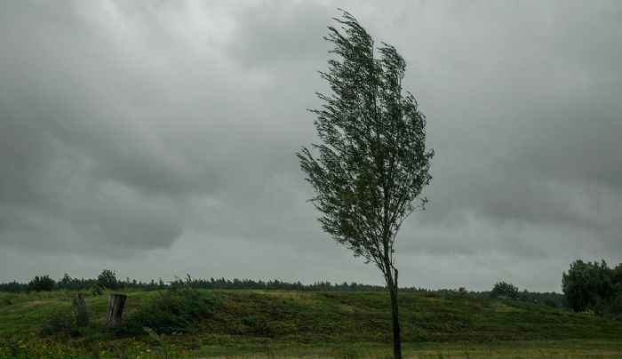 Jusqu’à 70 mm de pluie et vents violents : la Tunisie en alerte météo – La Presse de Tunisie