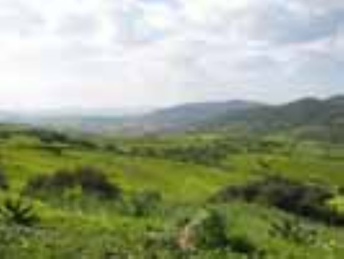 RACHID YAHOU: A Born JOURNALIST (BACIU ANDREEA)