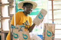 Togo / Afrique: Les Végétaux Transformés Peinent à Devenir des Alternatives au Plastique