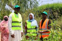 Semaine nationale de l’arbre : 5 000 plants à mettre en terre dans le 1er arrondissement de N’Djaména
