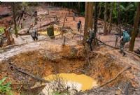Orpaillage illégal en Côte d'Ivoire : financiers c hinois et complicités locales
