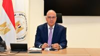Egypt links crop forecasting to irrigation schedules to improve water allocation