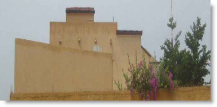 
					La saga des nouveaux riches