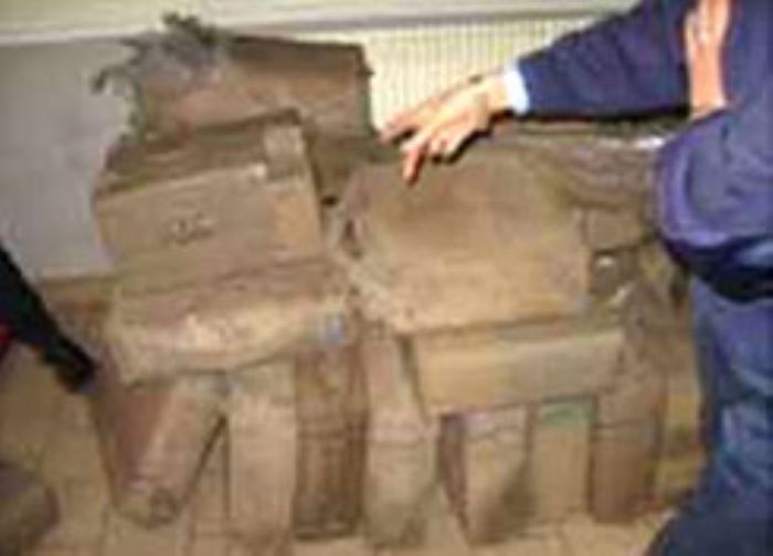 Saisie de 20 kg de Chira au port maritime de Tanger