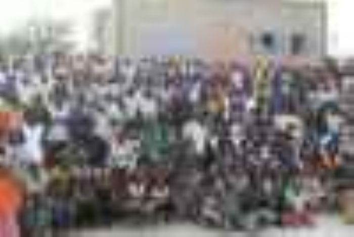 

					Maisons et Centres Culturels:
	Instruments de valorisation du patrimoine artistique et culturel du Niger		

