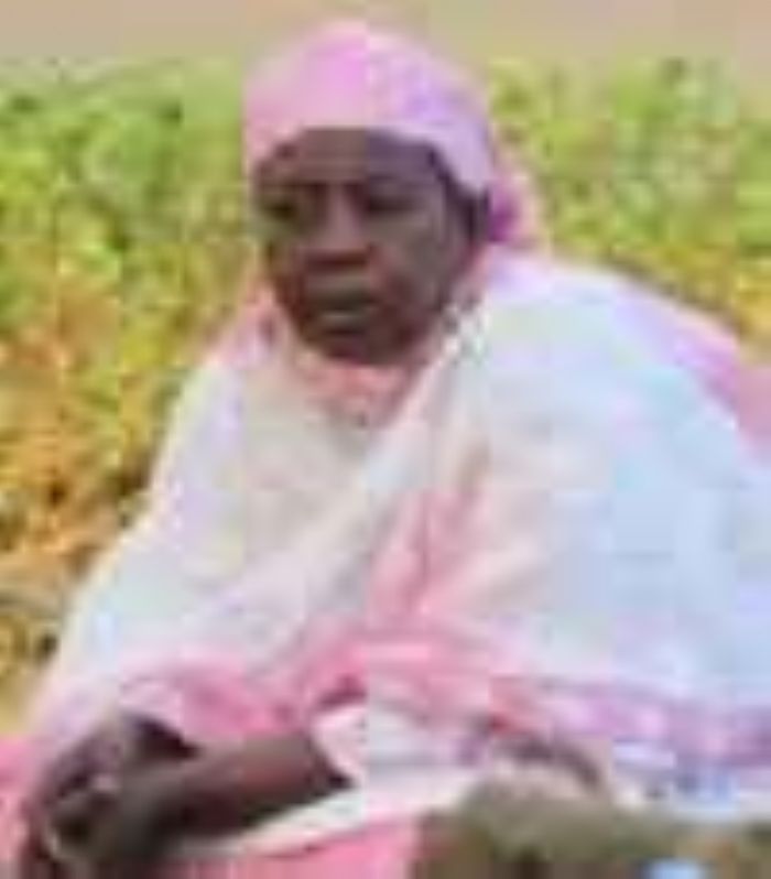 

					Hommage à madame Inoussa Fatima Djiré,
	directrice sortante du CCOG (Centre Culturel Oumarou Ganda) de Niamey.		

