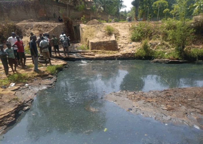 Changements environnementaux : l’homme, premier responsable | Quotidien Sidwaya
