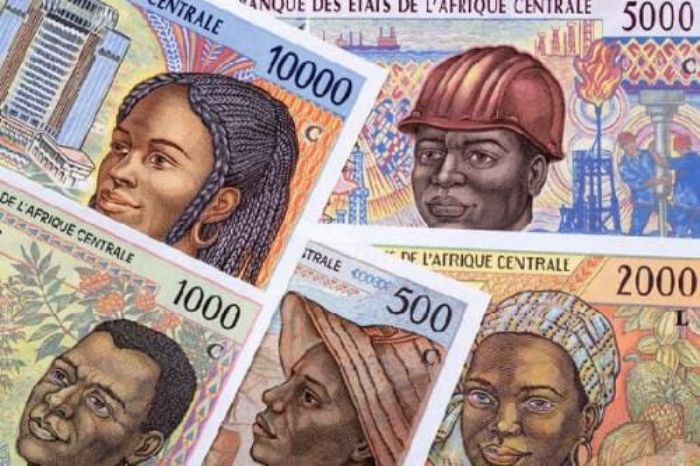 Cemac: les billets de gamme 92 n’auront plus de valeur dès demain – Journal du Gabon