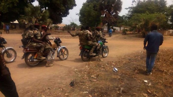 Carnage à Ngoutéré : Des soldats FACA sèment la terreur après leur déroute