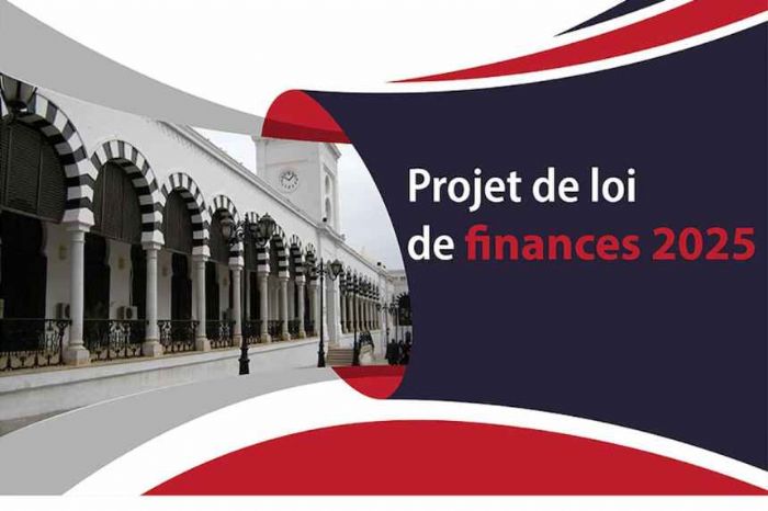 PLF 2025 : plusieurs articles maintenus dans leur version initiale