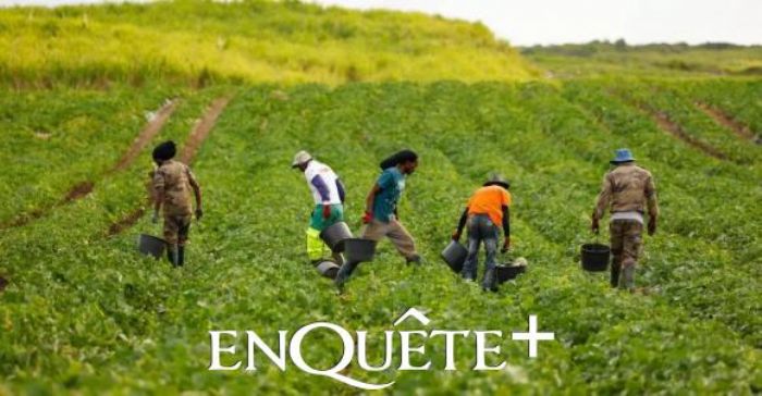 Migration circulaire | EnQuete+